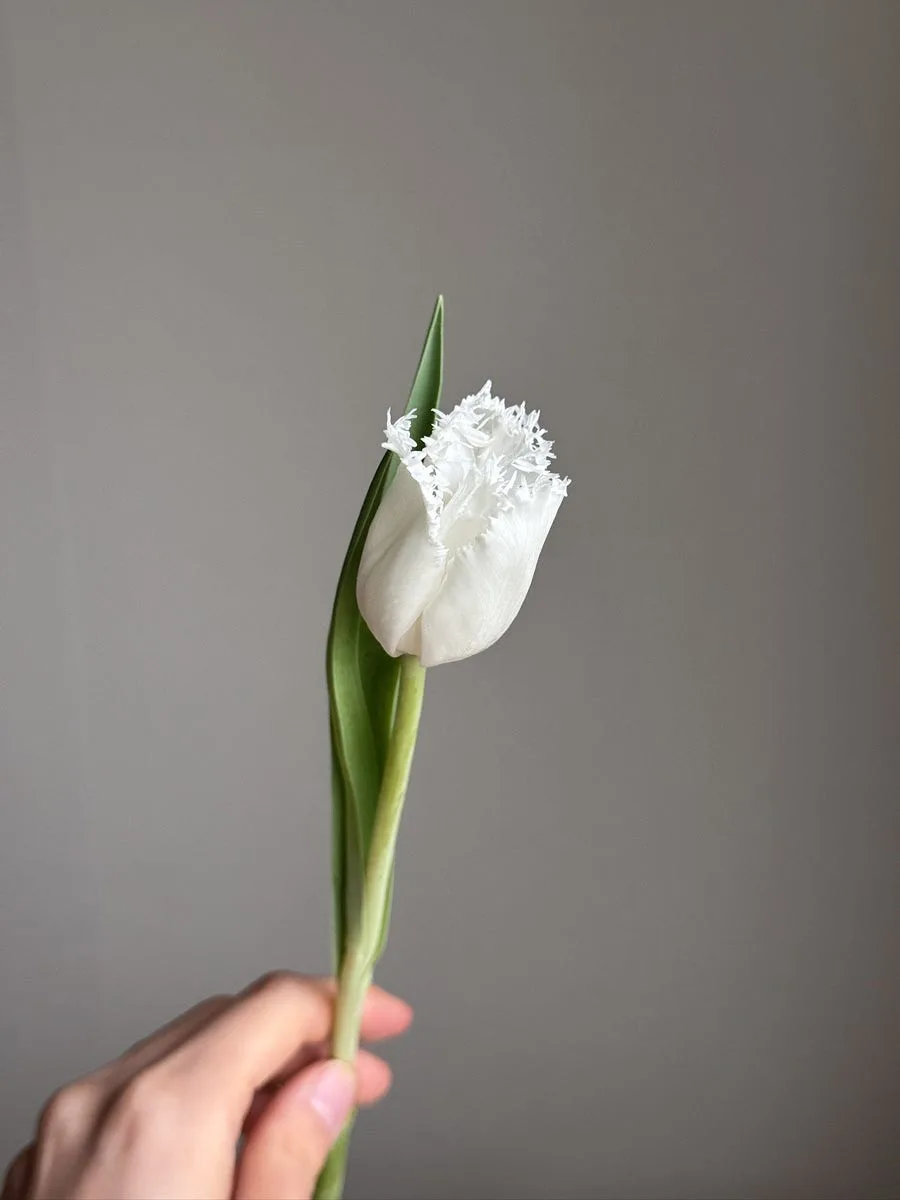 저스트플뢰르(Just Fleurs) 사진 7