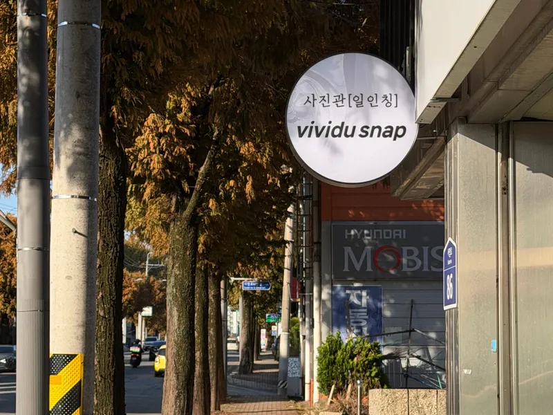 비비드유 사진 2