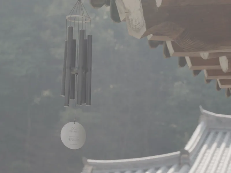 드림앤드 사진 2
