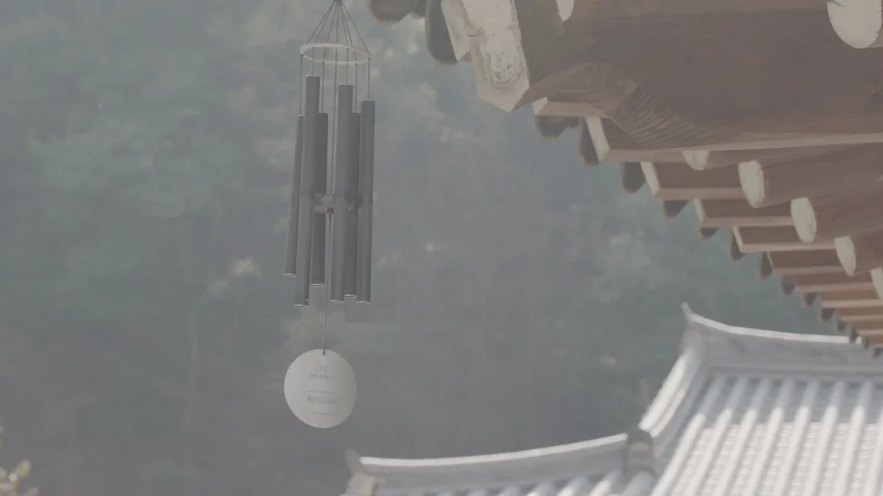 드림앤드 사진 2