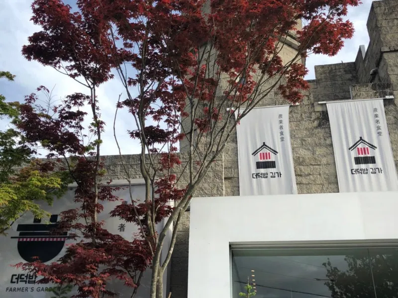 횡성더덕밥김가 사진 2