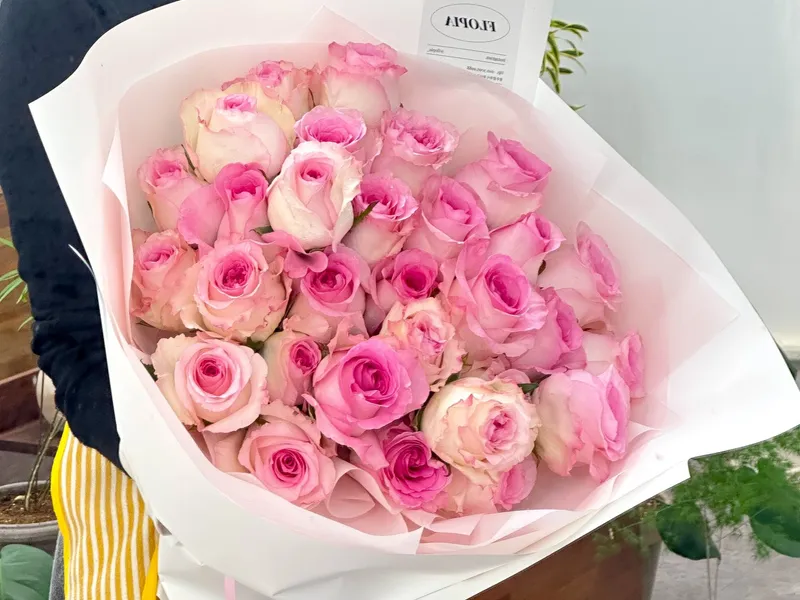 플로피아(flopia) 사진 2