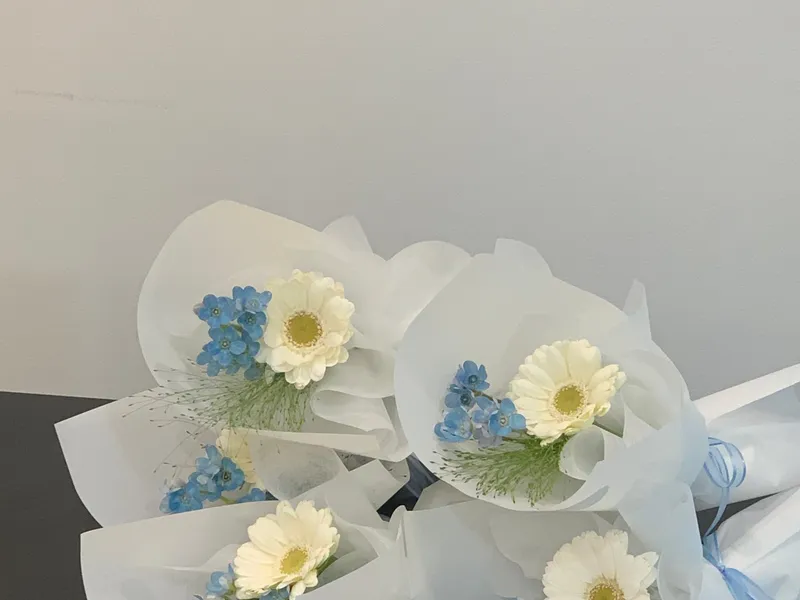 해화꽃 사진 4