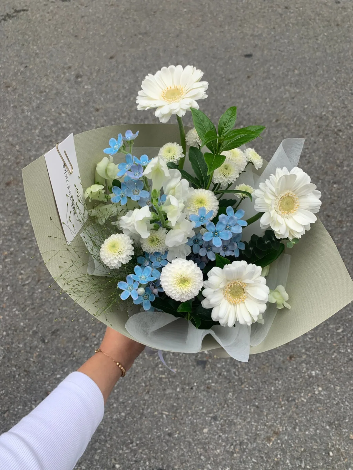 해화꽃 사진 6
