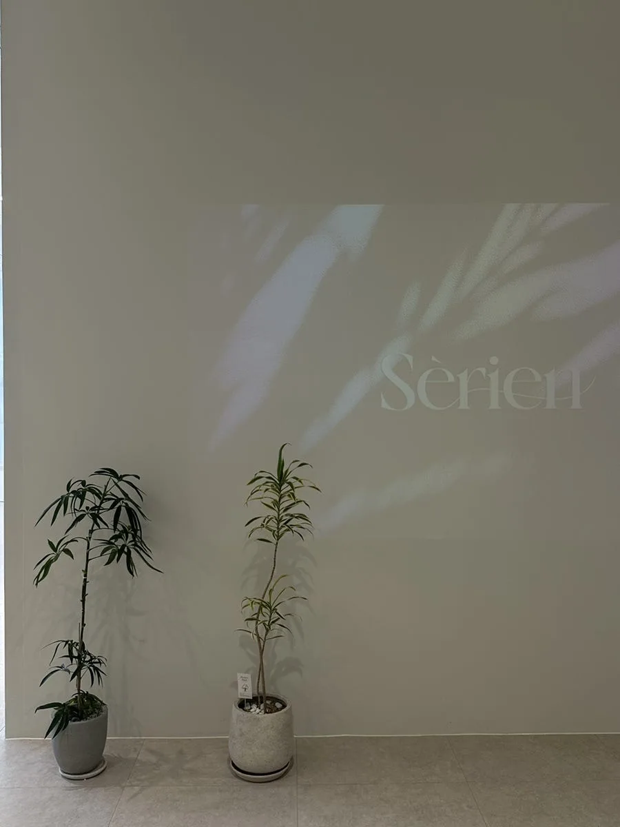 세리엔 사진 4