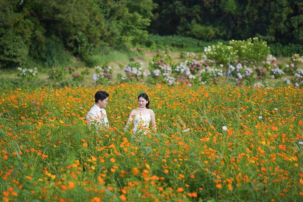 바이헌포토그라피 사진 2