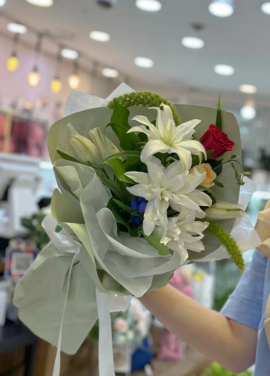 린도플로 사진 2