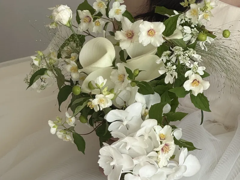 시에르네 플라워 (cierne_flower) 사진 1