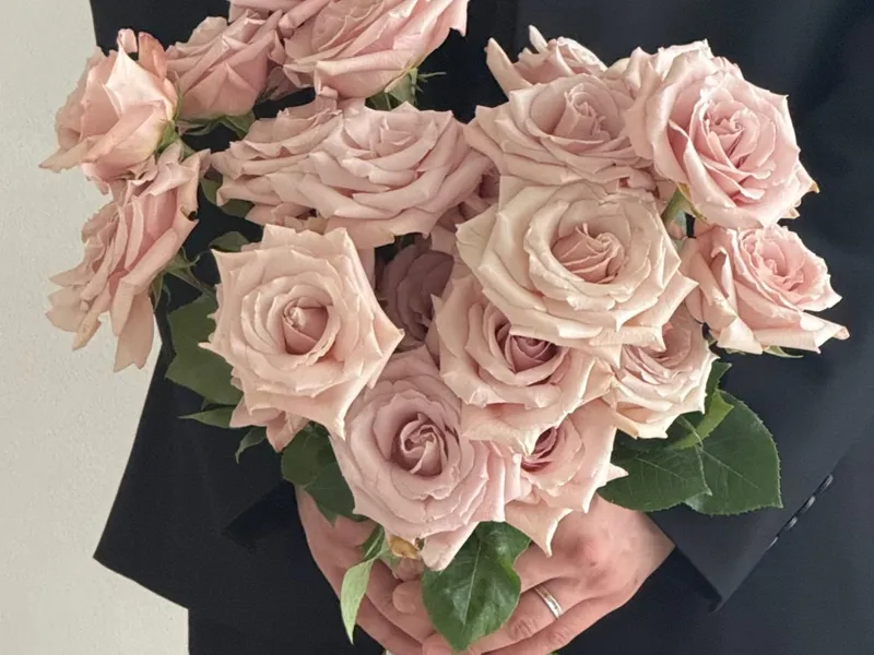 시에르네 플라워 (cierne_flower) 사진 2