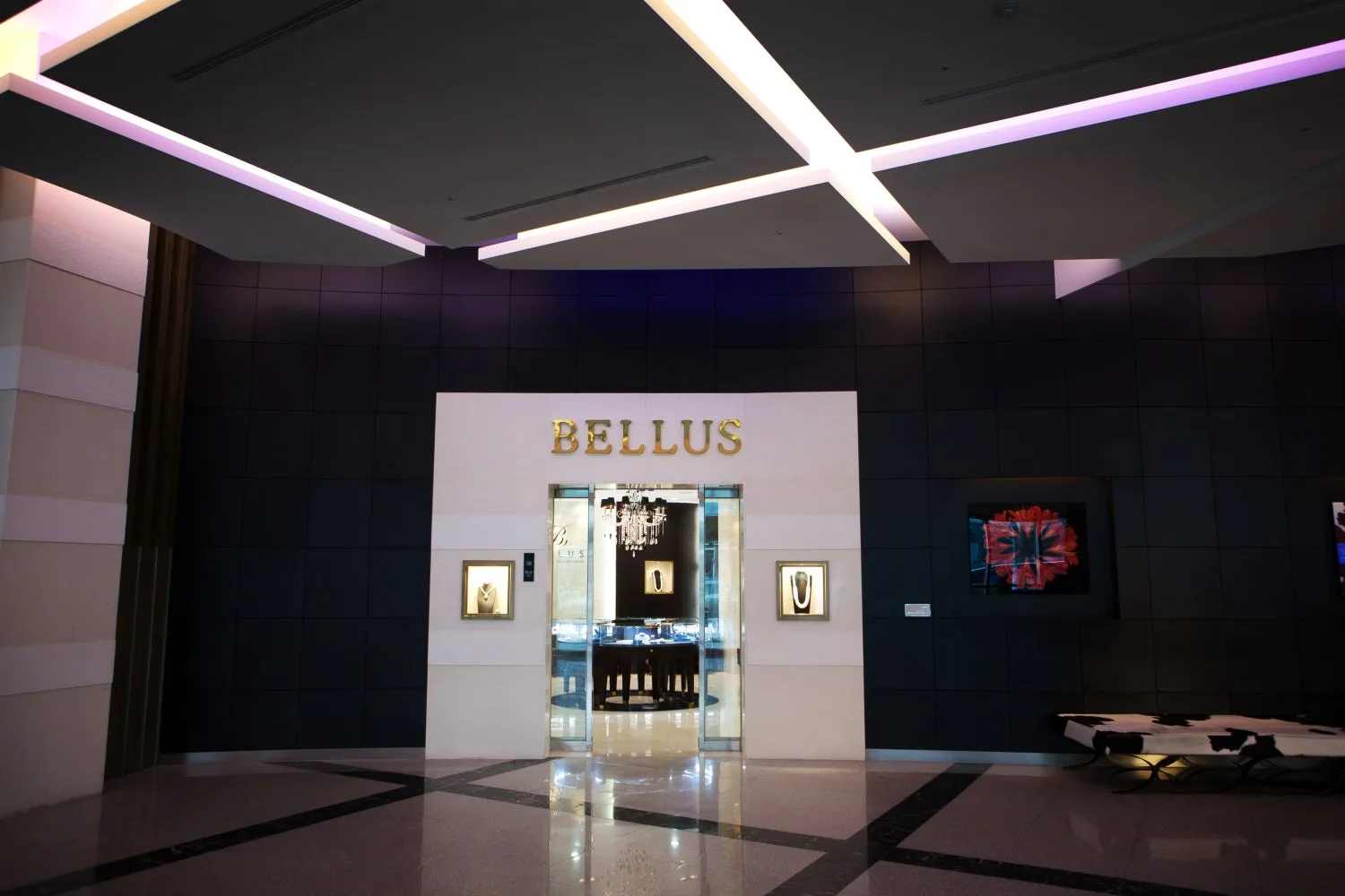 벨루스 (BELLUS) 사진 6