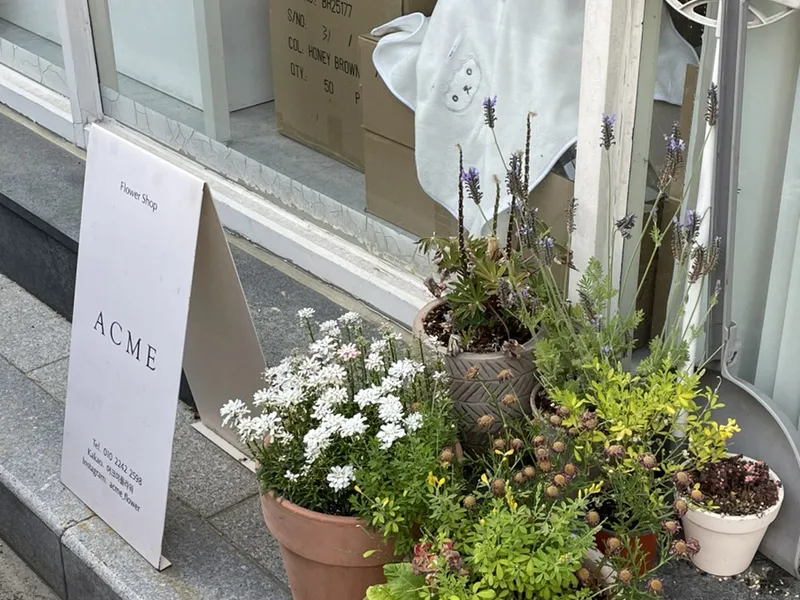 어크미(ACME, 평거동) 사진 4