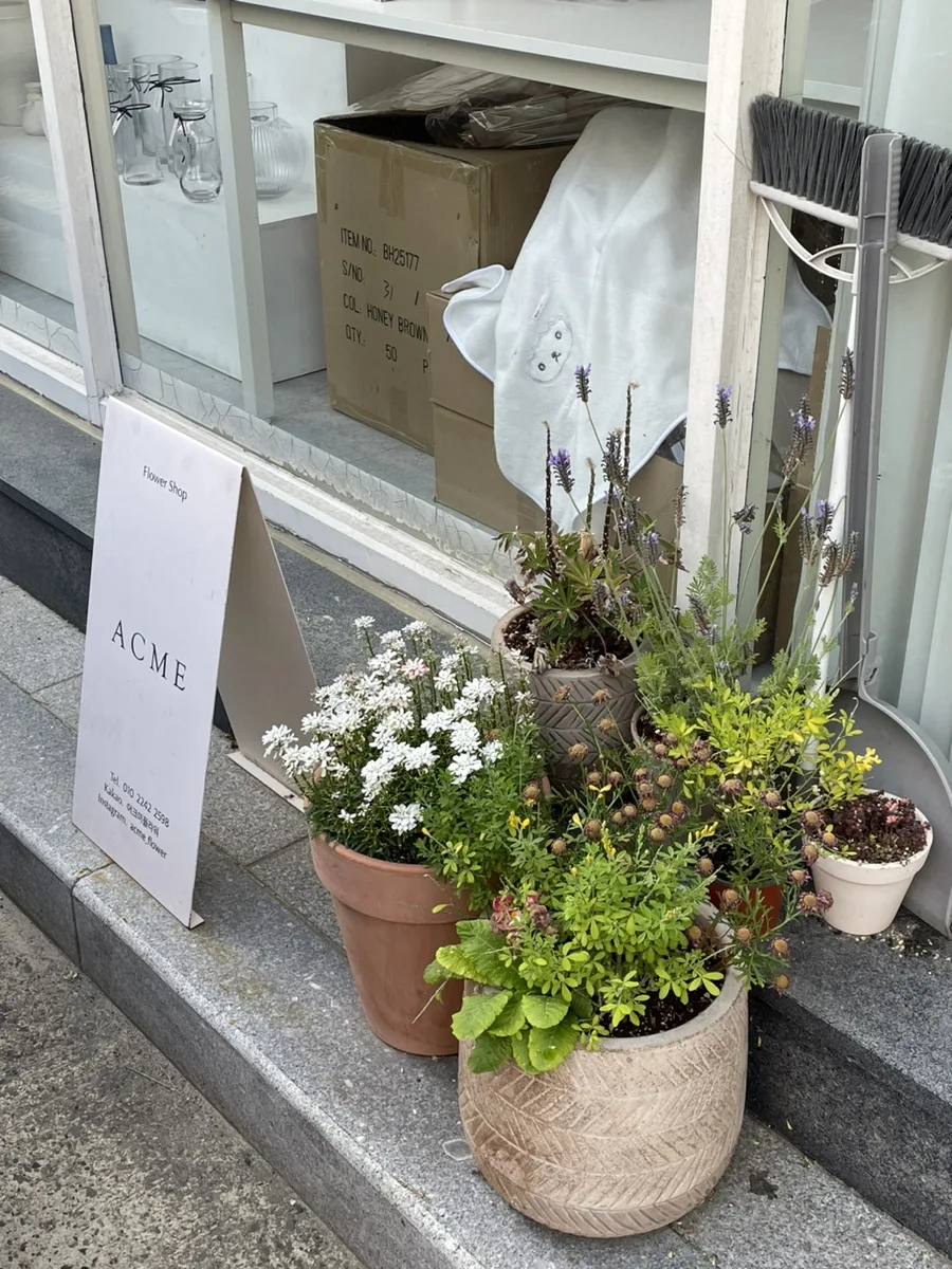 어크미(ACME, 평거동) 사진 4