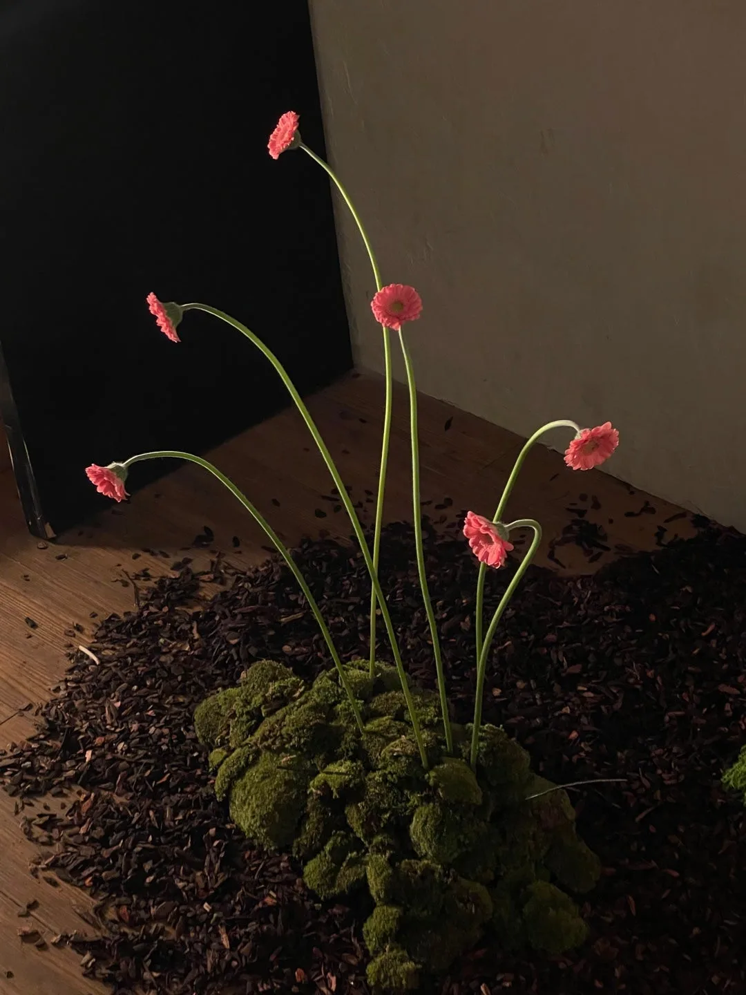 플리버 사진 3