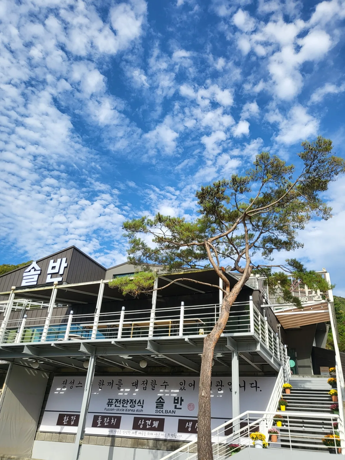 솔반 사진 2