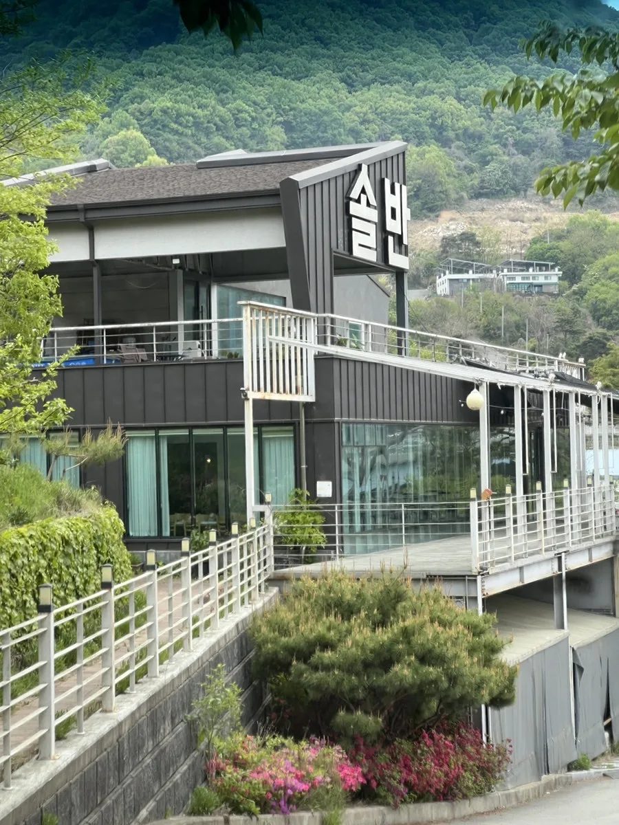 솔반 사진 3