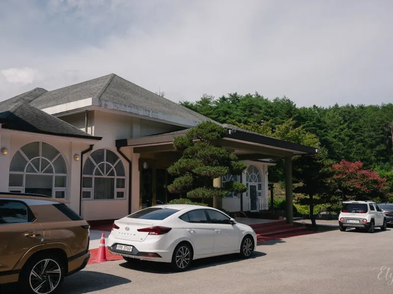 스프링필드 사진 4