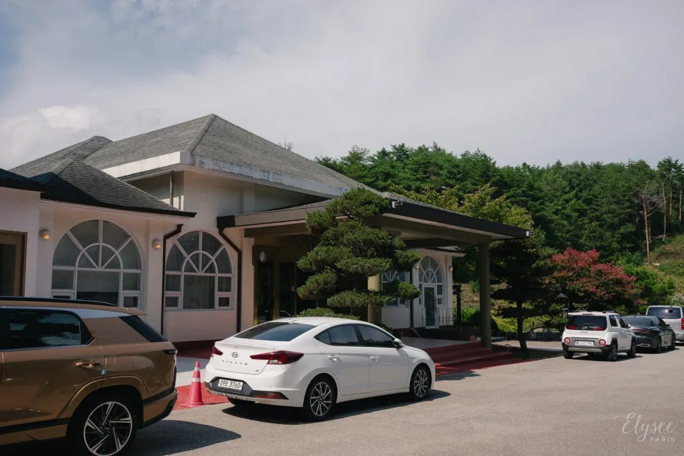 스프링필드 사진 4