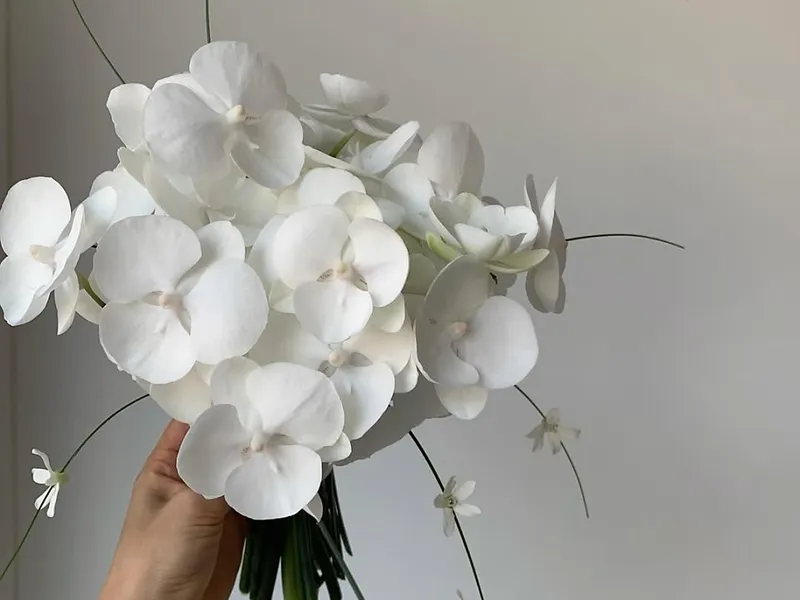 헤르비폴즈 사진 1