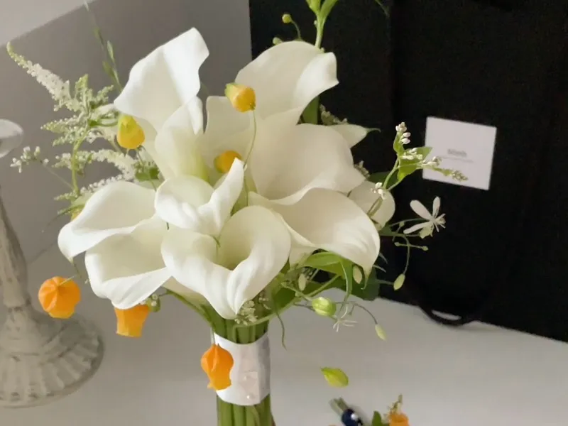 솜브 사진 2