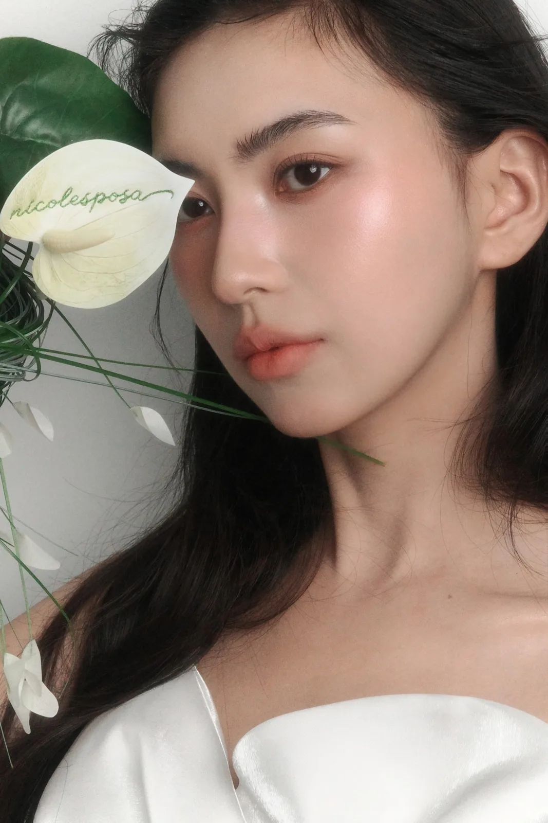 니콜스포사 사진 6