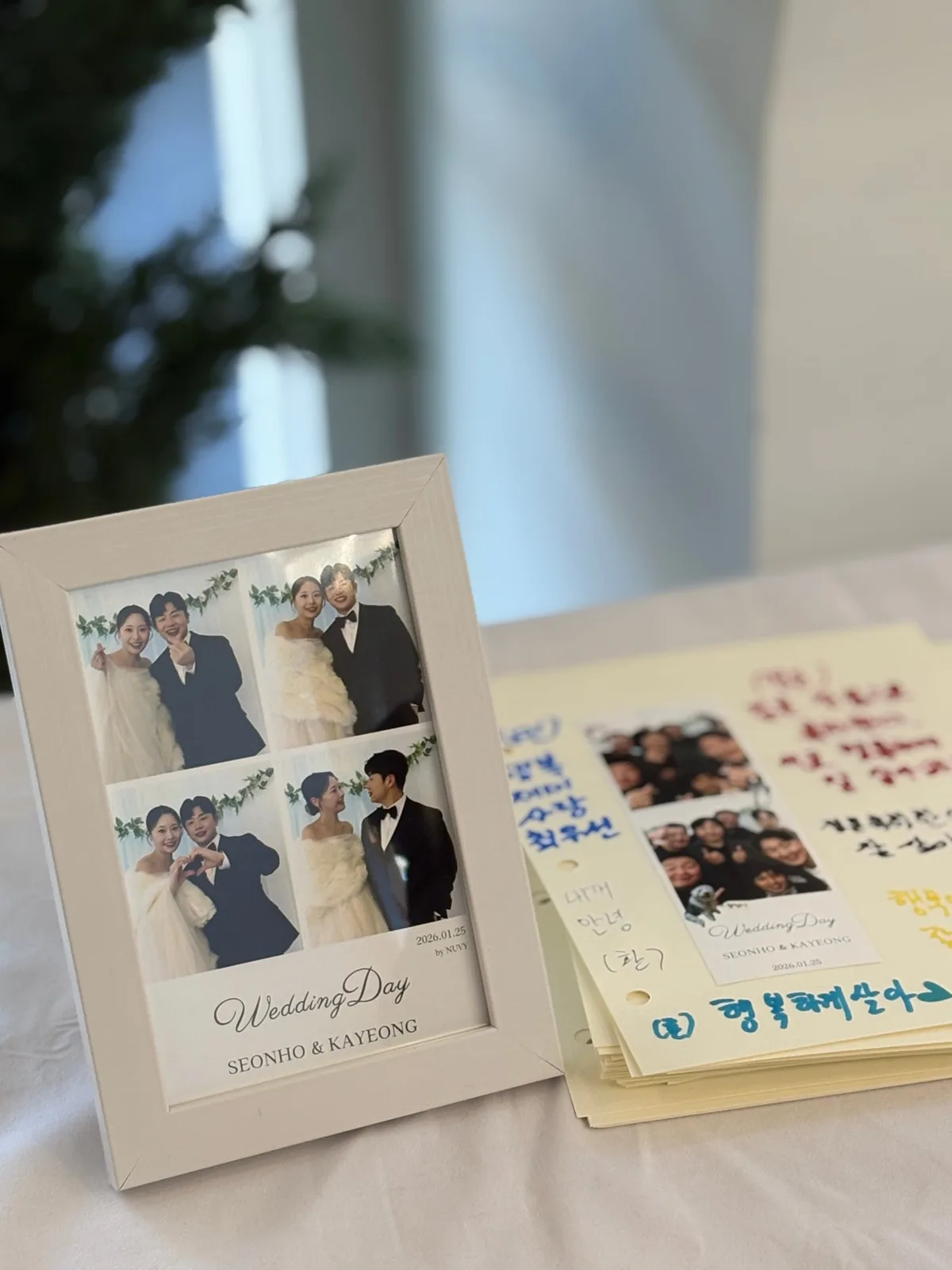 누비포토 사진 2