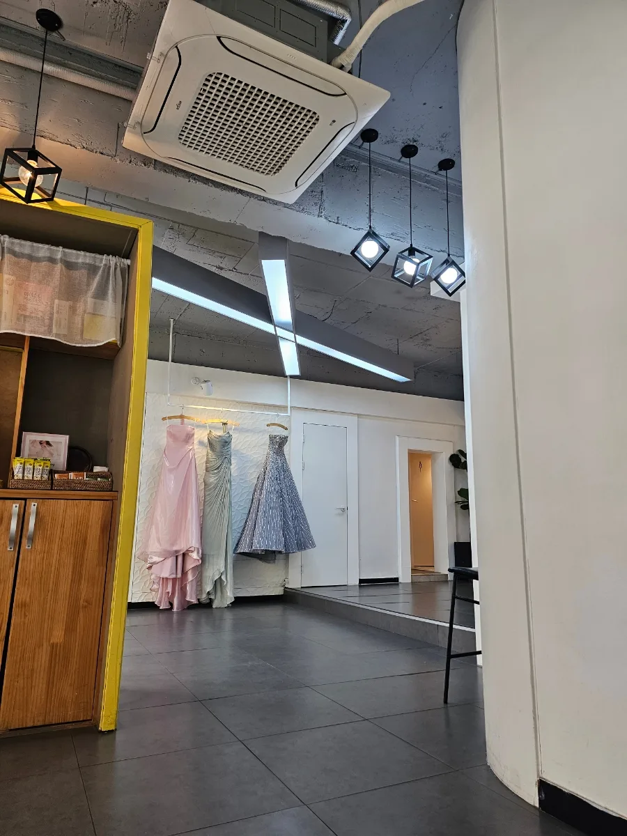 아비가일 바이 보아 사진 2