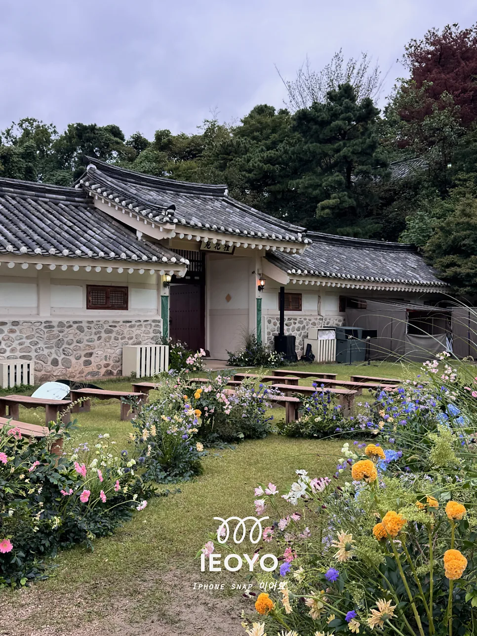 이어요스냅 사진 2
