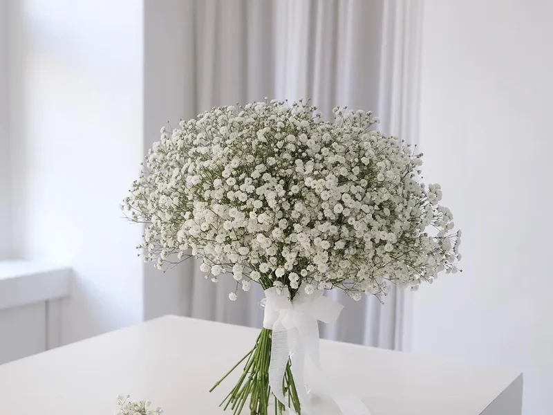 프리티플리즈(Prease Flower) 사진 1