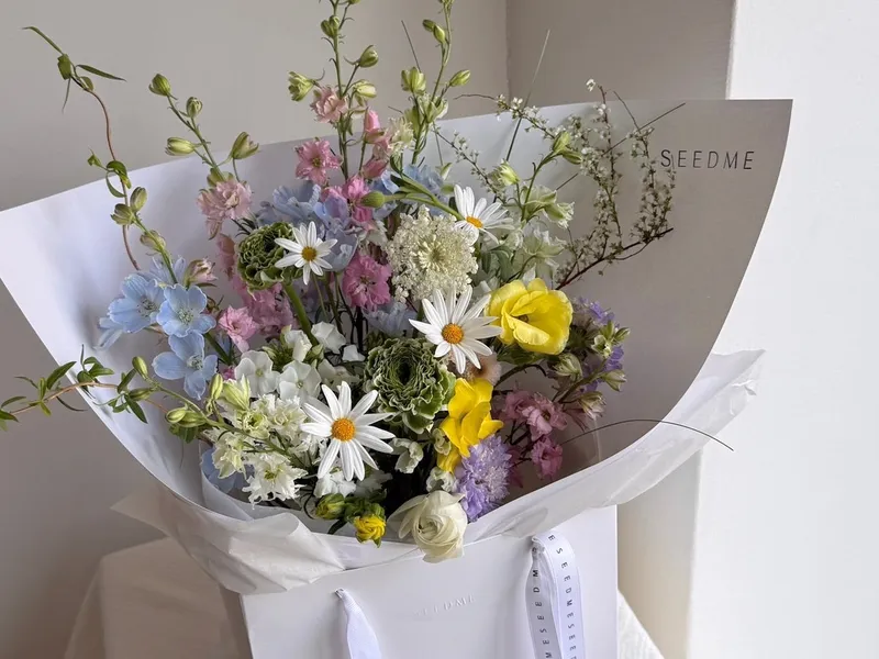 씨드미(seedme) 사진 3