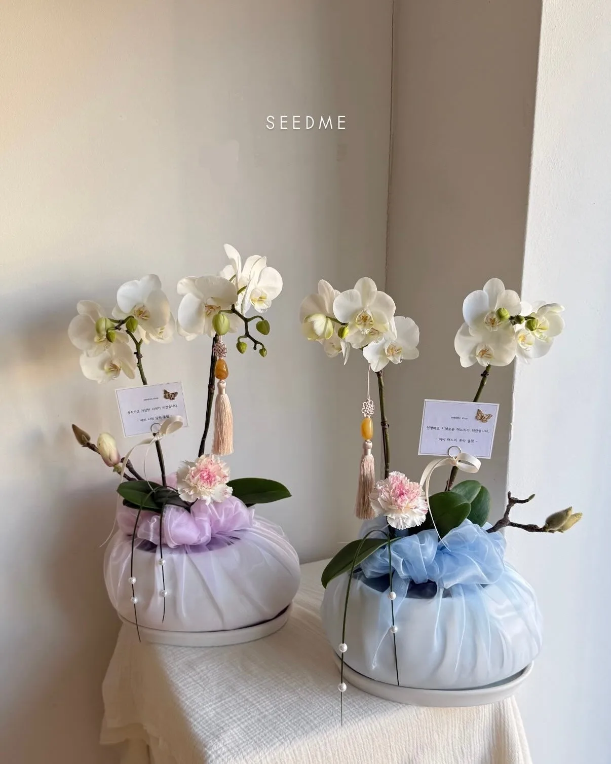 씨드미(seedme) 사진 4