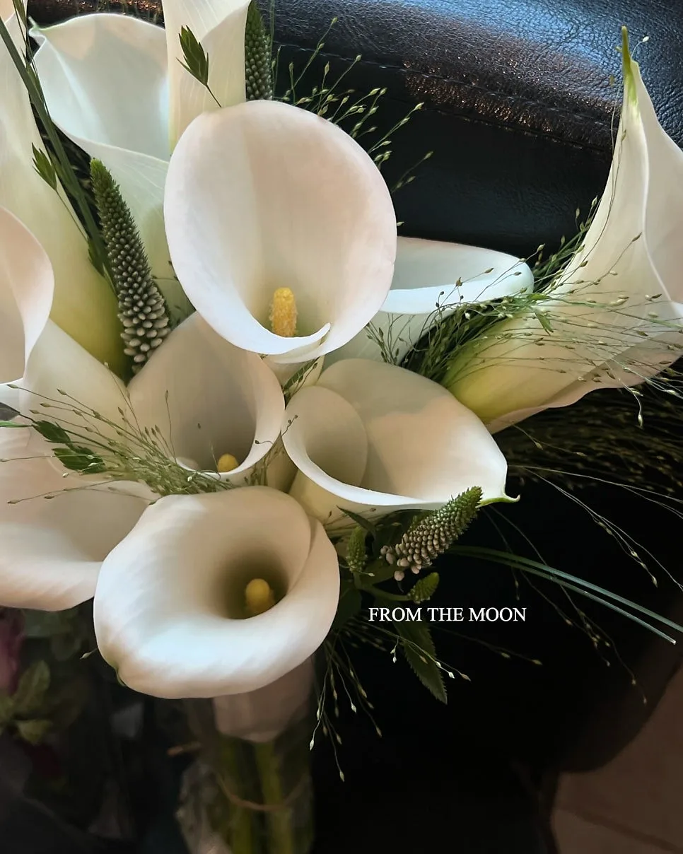 프롬더문(FROM THE MOON) 사진 5