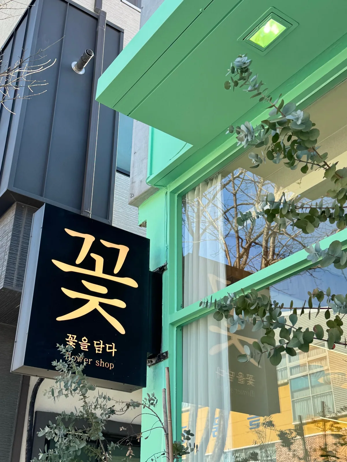 꽃을담다 사진 4