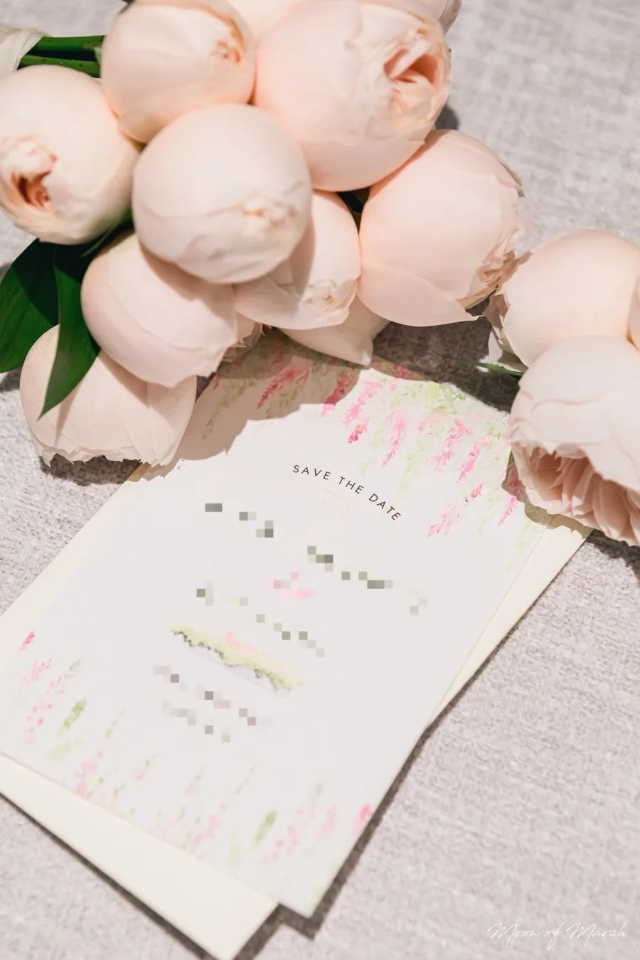삼월의달 사진 4