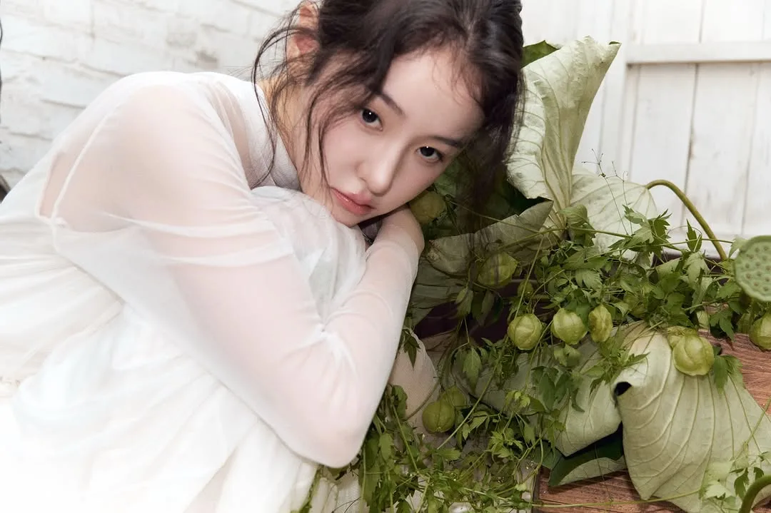 스포사라니아 사진 5